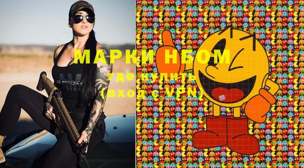 ешки Аркадак