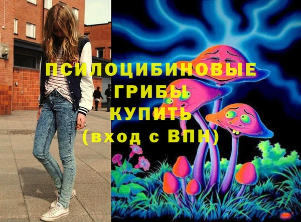 ешки Аркадак
