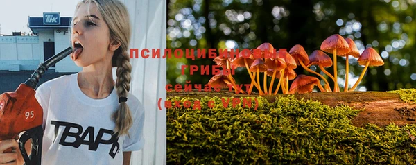 ешки Аркадак