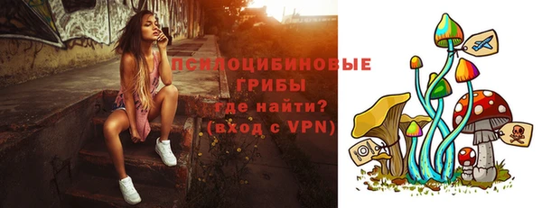ешки Аркадак