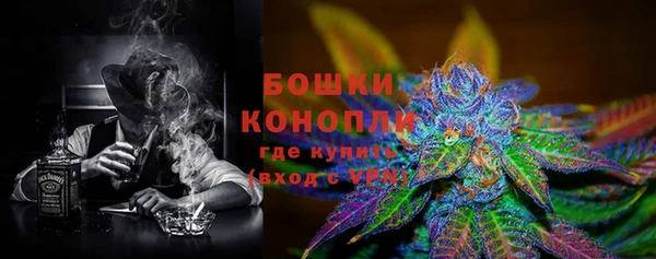 ешки Аркадак